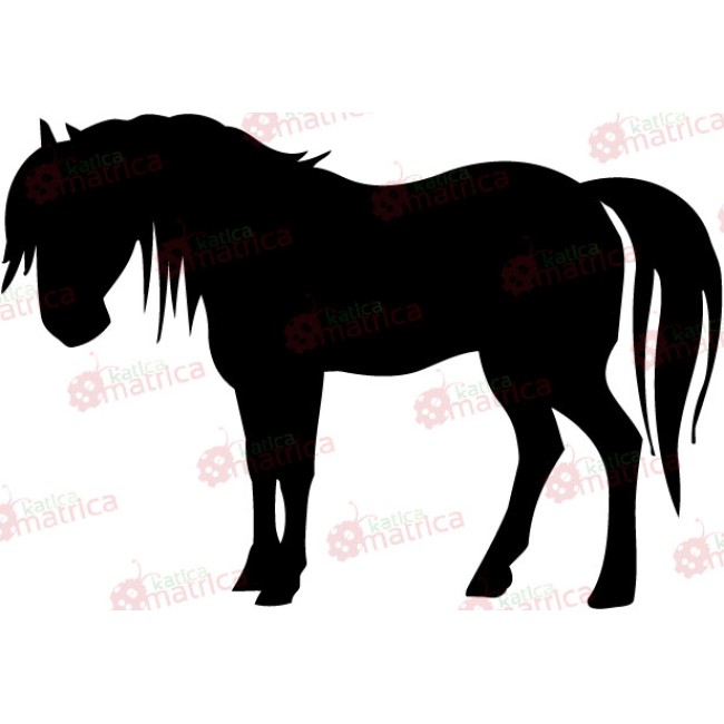 Póni - Falmatrica / Faltetoválás