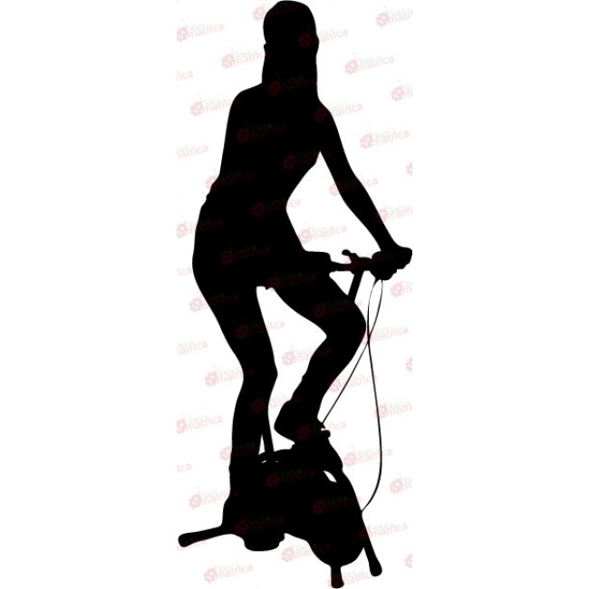 Szobabicikli - Falmatrica / Faltetoválás