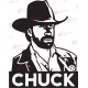 Chuck Norris - Falmatrica / Faltetoválás