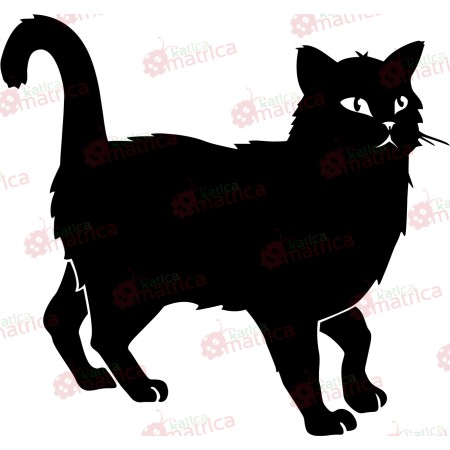 Fekete macska - Falmatrica / Faltetoválás
