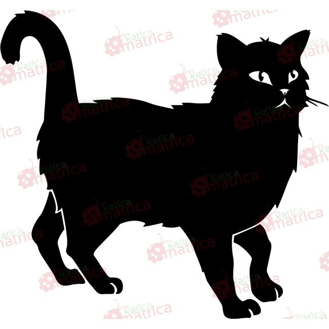 Fekete macska - Falmatrica / Faltetoválás