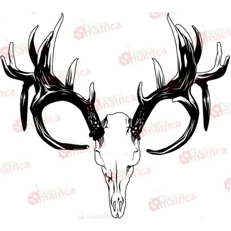 Agancsok - Falmatrica / Faltetoválás