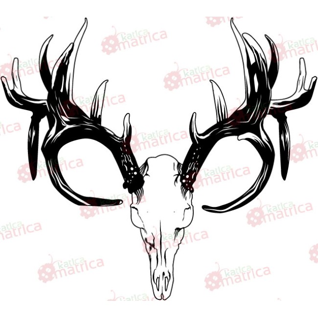 Agancsok - Falmatrica / Faltetoválás