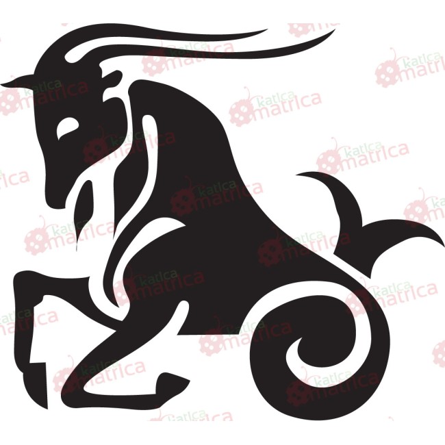 Csillagjegyek - Falmatrica / Faltetoválás -