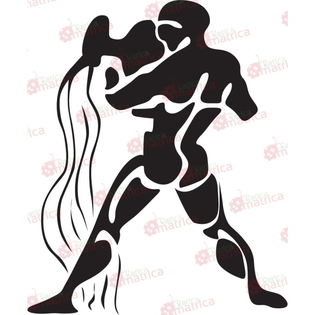 Csillagjegyek - Falmatrica / Faltetoválás -