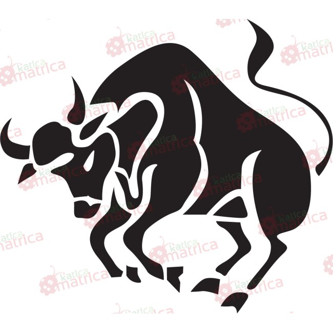 Csillagjegyek - Falmatrica / Faltetoválás -