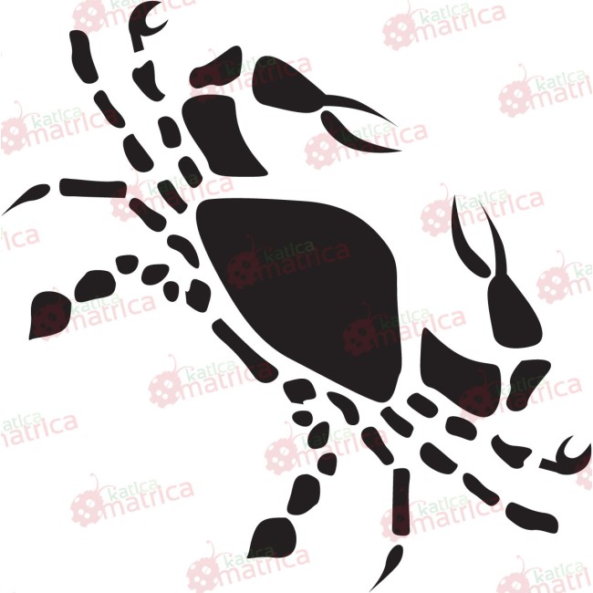 Csillagjegyek - Falmatrica / Faltetoválás -