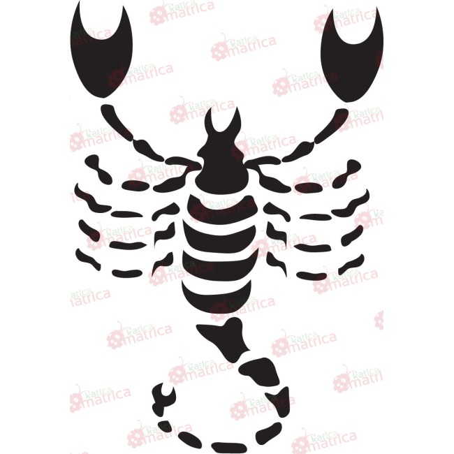 Csillagjegyek - Falmatrica / Faltetoválás -