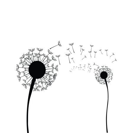 Pitypang - Falmatrica / Faltetoválás