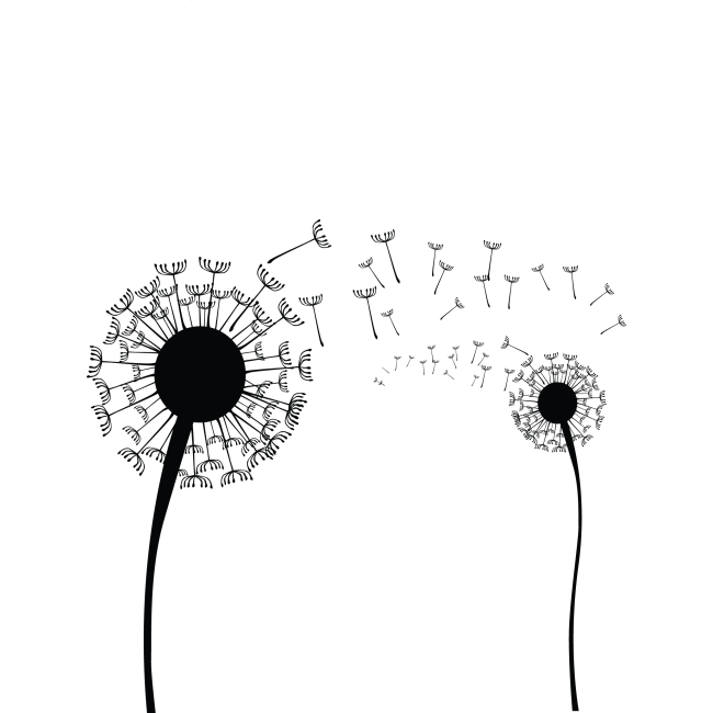 Pitypang - Falmatrica / Faltetoválás