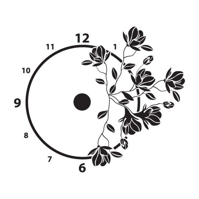 Magnólia  + Falióra 