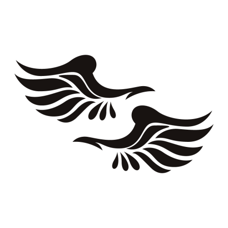 Autós matrica - Szárnyak visszapillantó tükörre