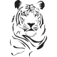 Tigris portré - Falmatrica / Faltetoválás