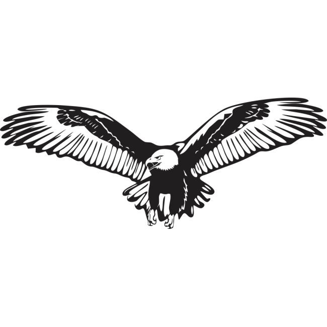 Fehérfejű rétisas - Falmatrica / Faltetoválás