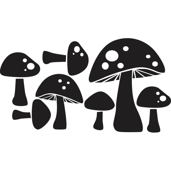 Gombák - Falmatrica / Faltetoválás