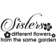 Sisters