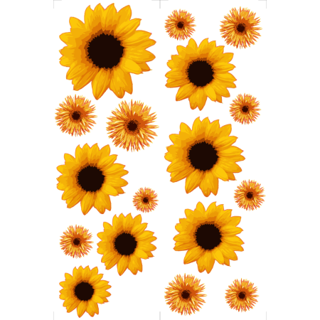 Napraforgó - Színes matrica csomag