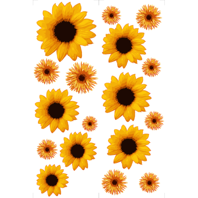 Napraforgó - Színes matrica csomag