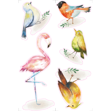 Színes madarak - Színes matrica csomag