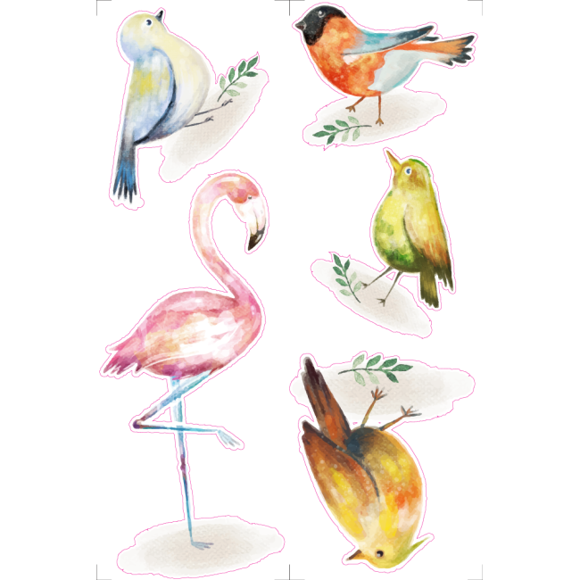 Színes madarak - Színes matrica csomag