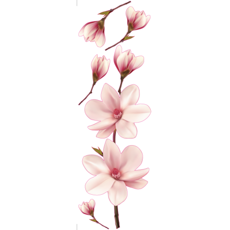 Magnólia - Színes matrica 