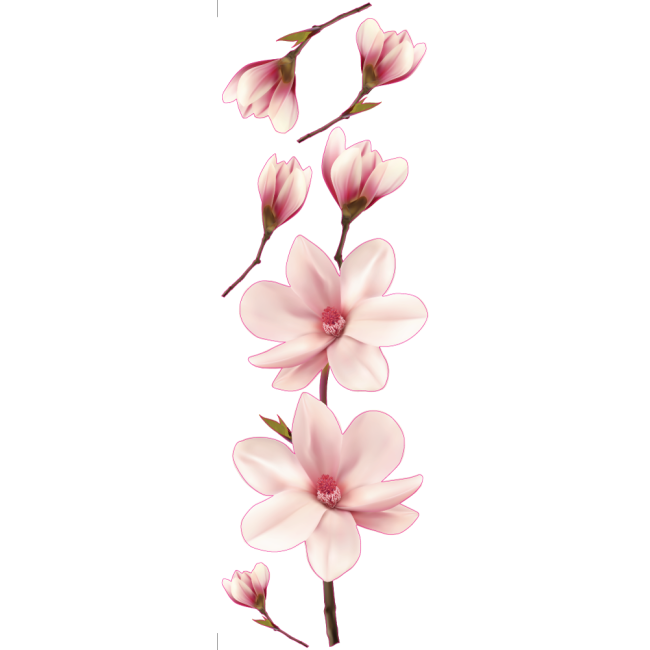 Magnólia - Színes matrica 