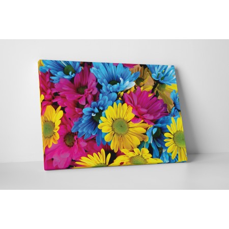 A legszínesebb virágok