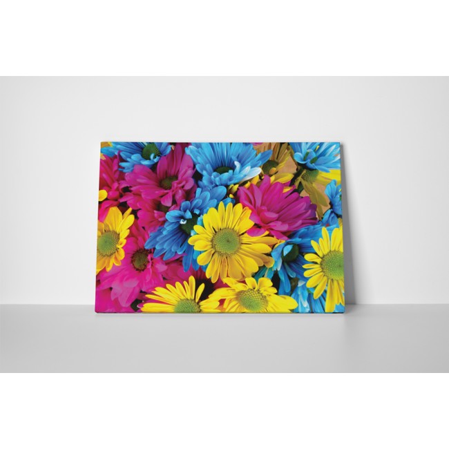 A legszínesebb virágok