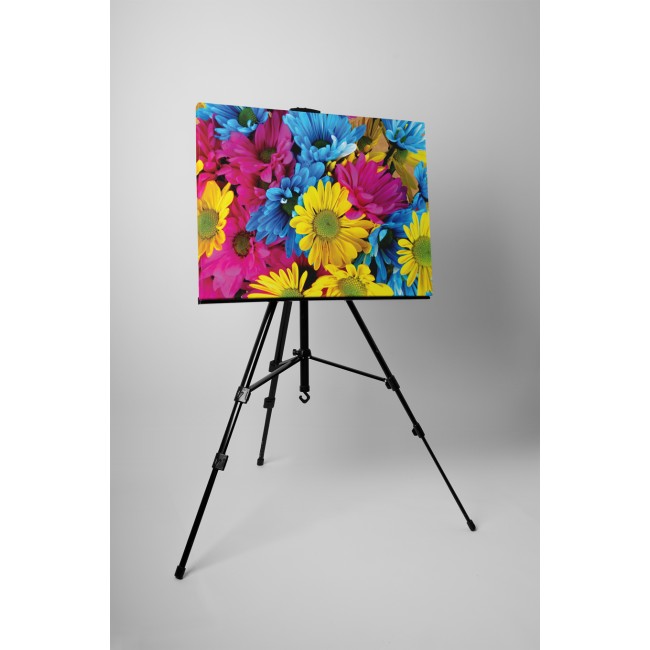 A legszínesebb virágok