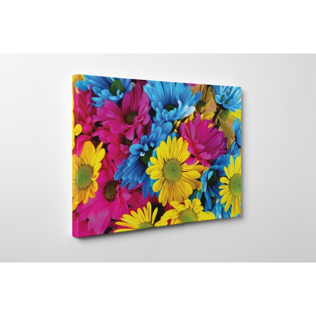 A legszínesebb virágok