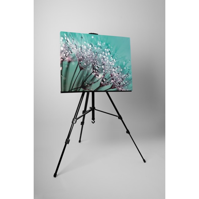 Harmatos pitypang magvak