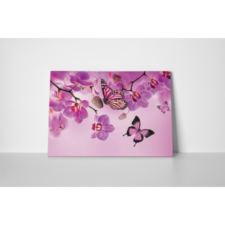 Rózsaszín pillangók