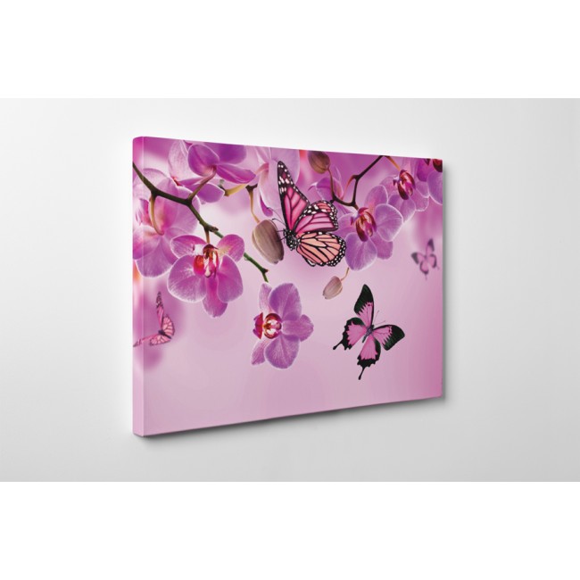 Rózsaszín pillangók