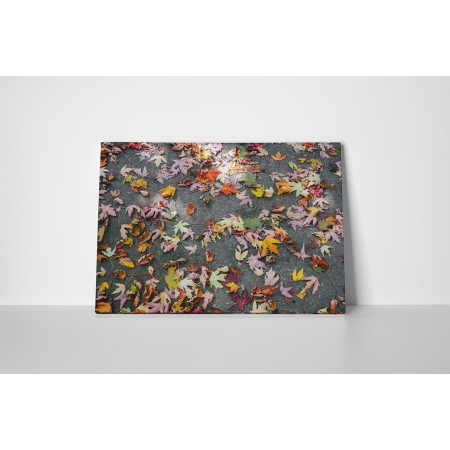 Színes őszi levelek