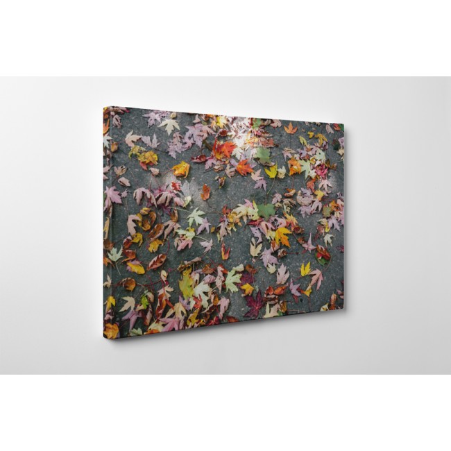 Színes őszi levelek