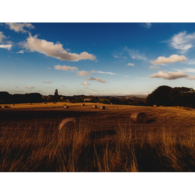 Szénakazal a mezőn