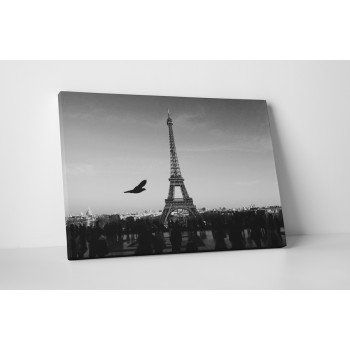 Fekete-fehér Eiffel torony