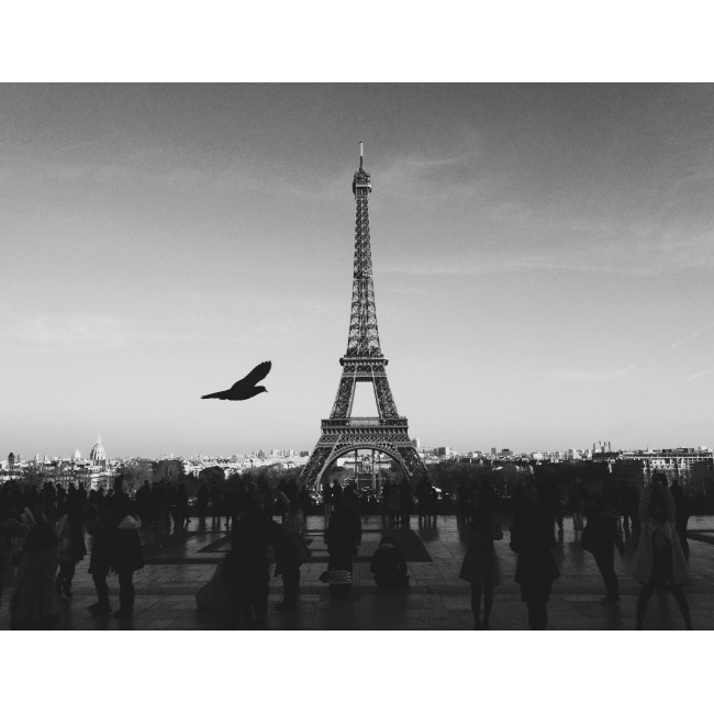 Fekete-fehér Eiffel torony