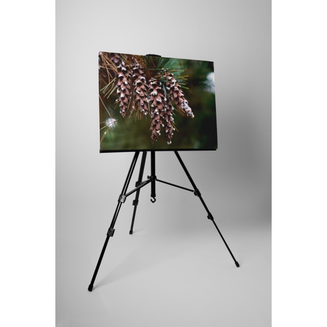 Különleges tobozok