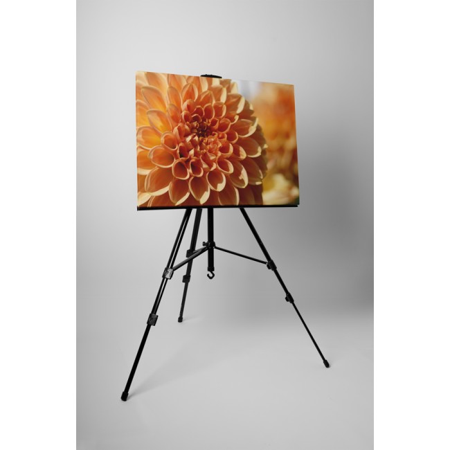 Barack színű dália