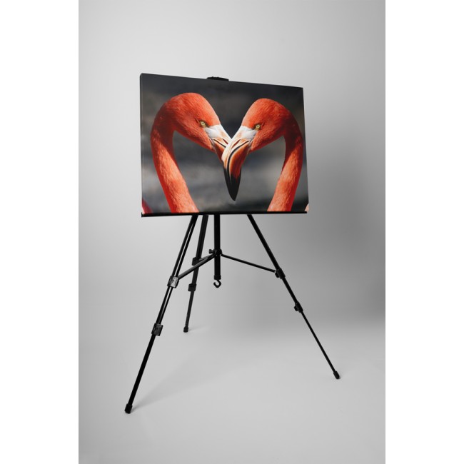 Szerelmes flamingók