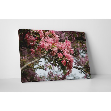 Virágzó természet