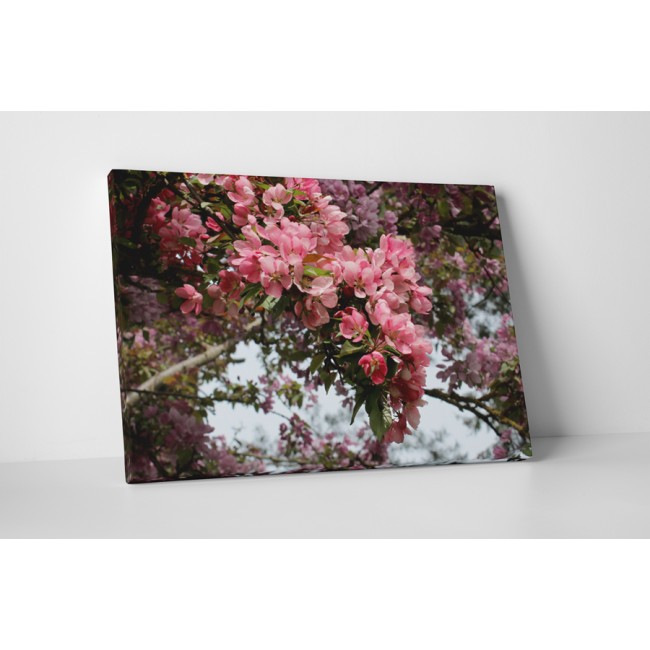 Virágzó természet