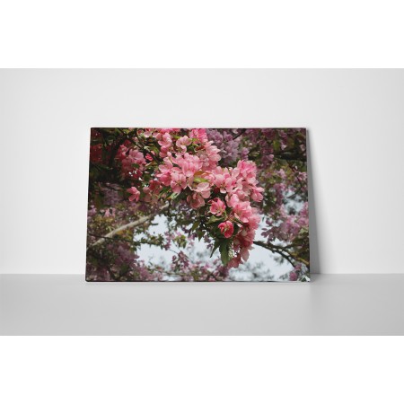 Virágzó természet