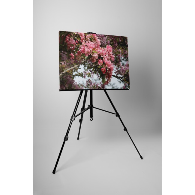 Virágzó természet