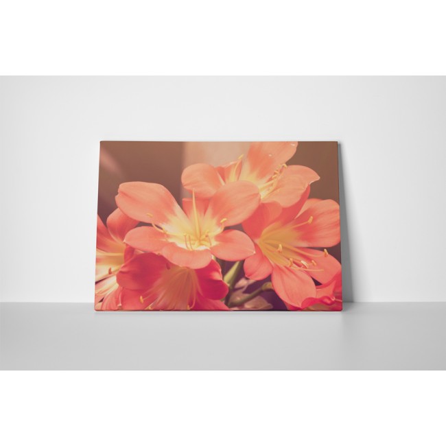 Csodálatos virágok