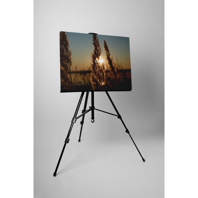 Naplemente a gabonamezőn