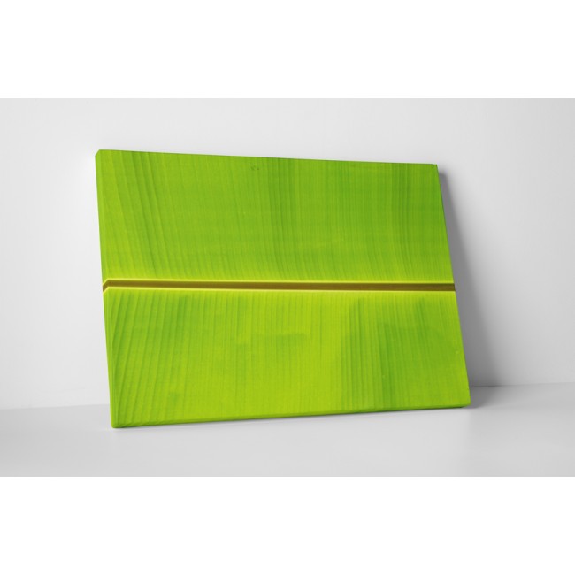 Természetes szimmetria