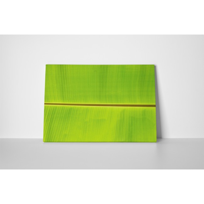 Természetes szimmetria