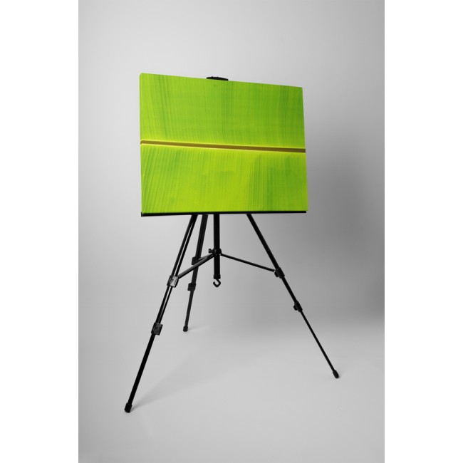 Természetes szimmetria